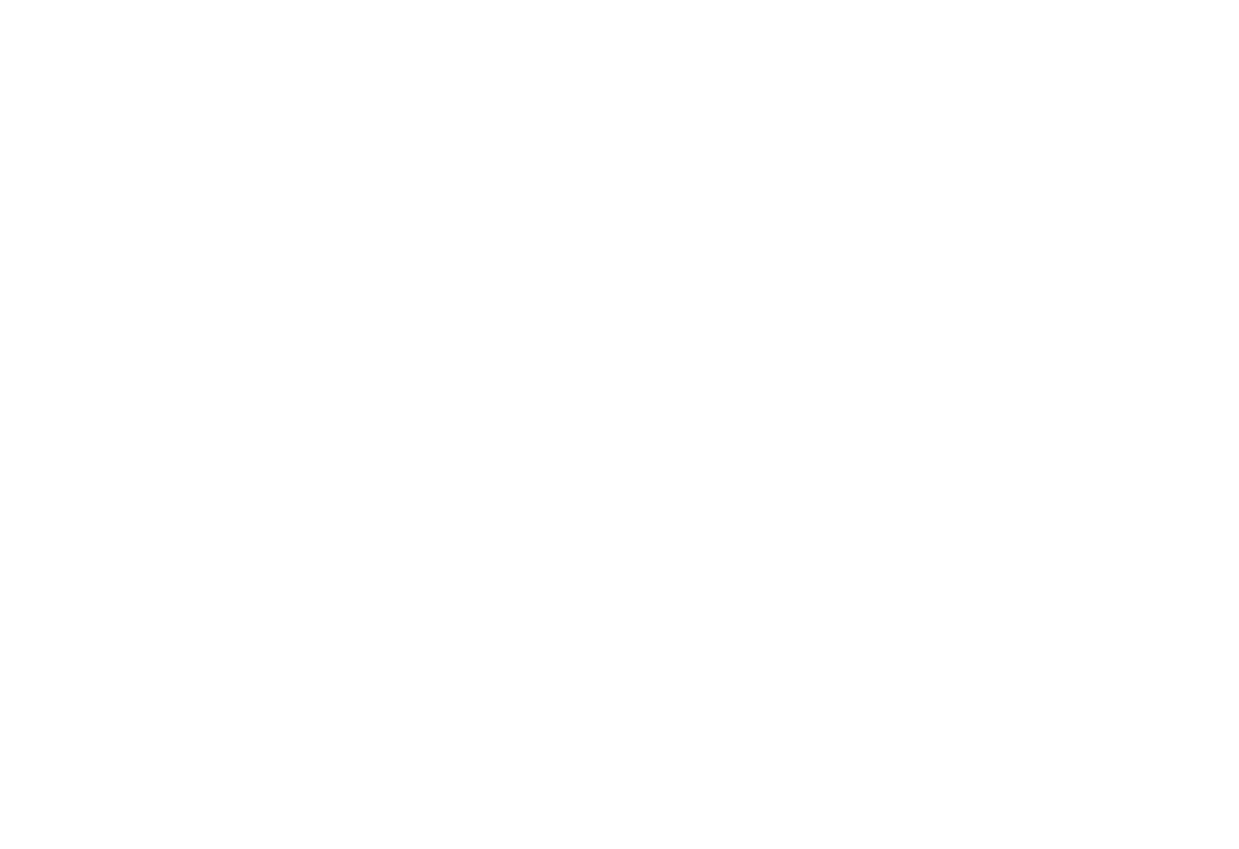 Ginetun logo